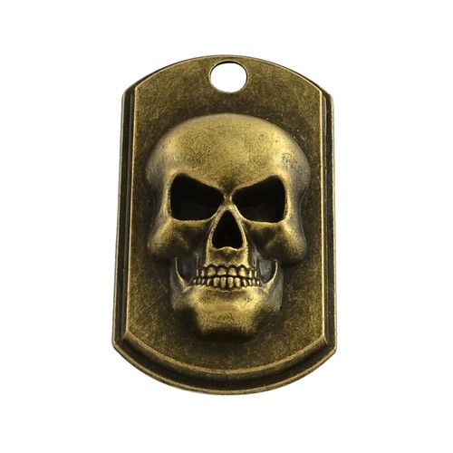 Antique bronze large - large, skull